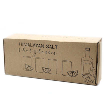 Himalayan Salt Shot Glasses & Wood Serving Stand - Set of 4