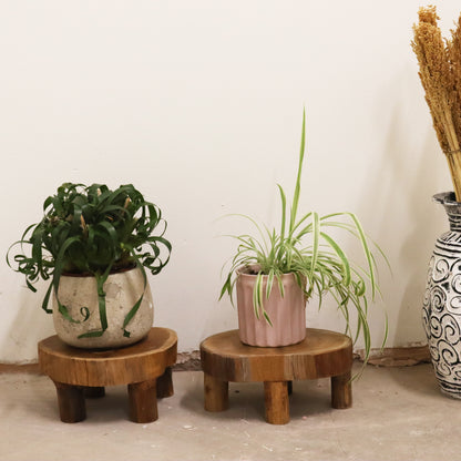 Low Teak Pad Display - Set of 2