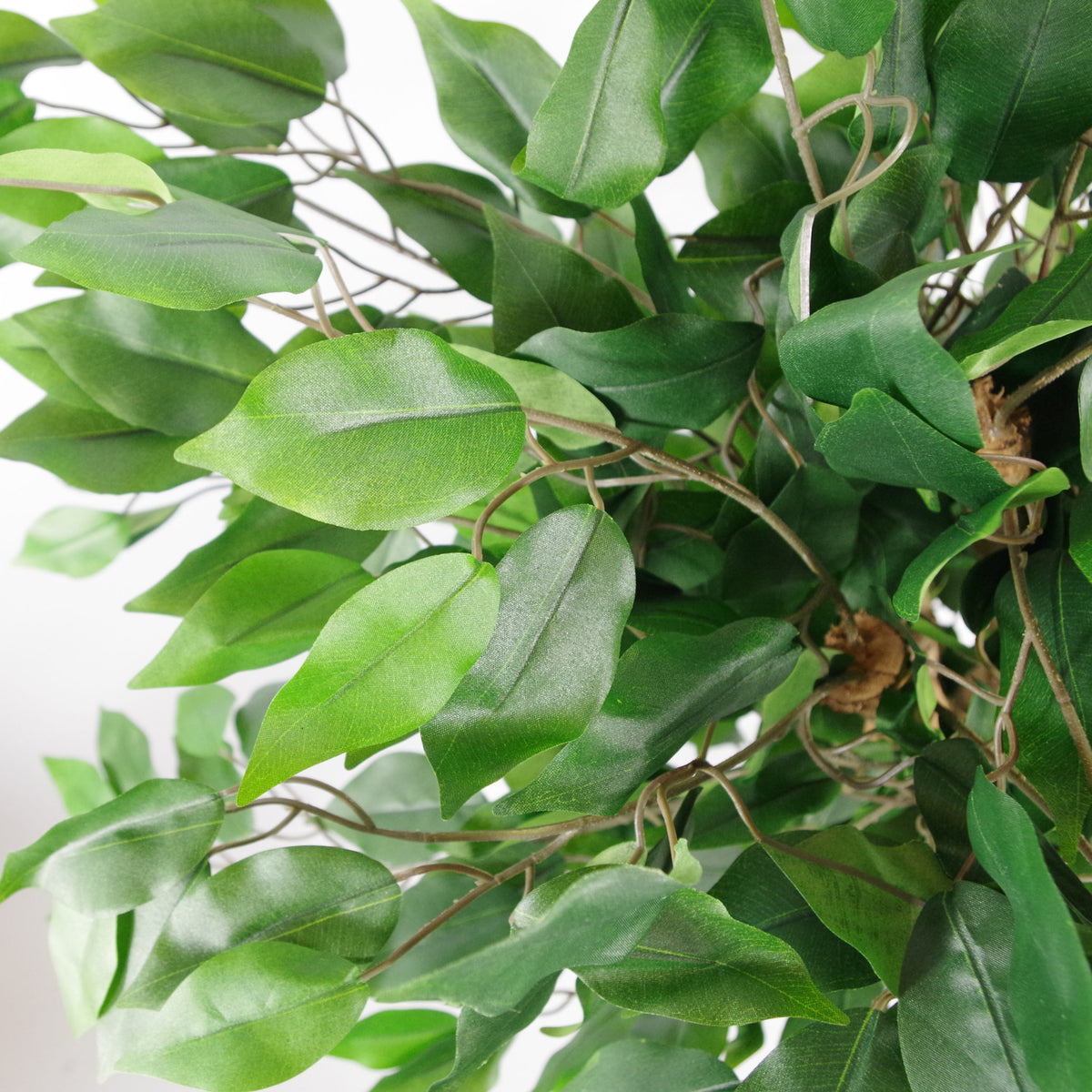 Artificial Evergreen Ficus Tree (90cm)