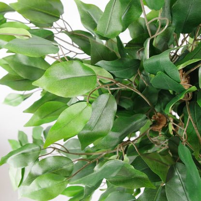 Artificial Evergreen Ficus Tree (90cm)
