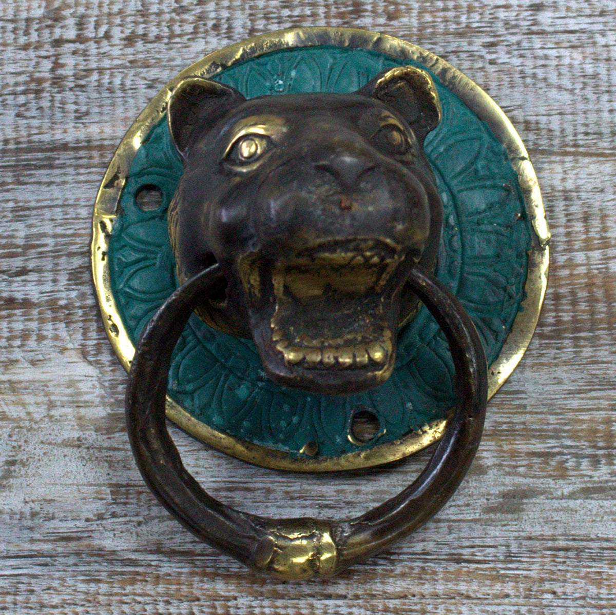 Brass Door Knockers